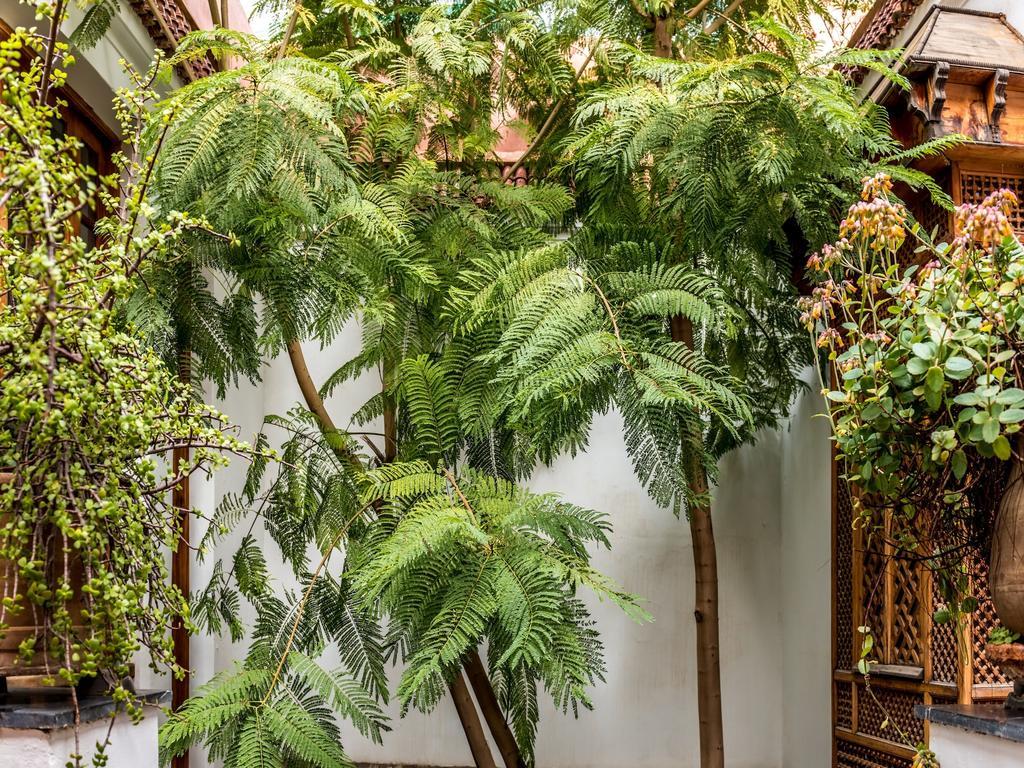Riad Les Trois Cours Marrakesh Bagian luar foto